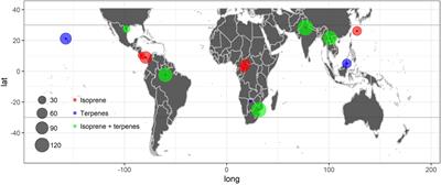 An Overview of the Isoprenoid Emissions From Tropical Plant Species